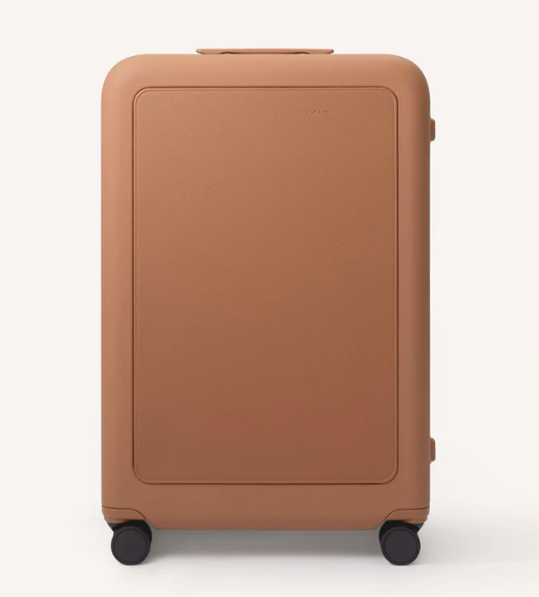 moln Large アンバー